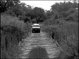 crossing Third Bridge in Moremi park