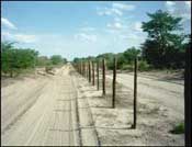 Vetrinary control fence outside of Maun