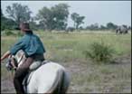 Kirstin on her mount