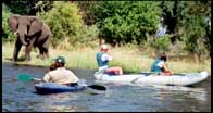 Canoeing on the Zambezi